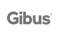 Gibus